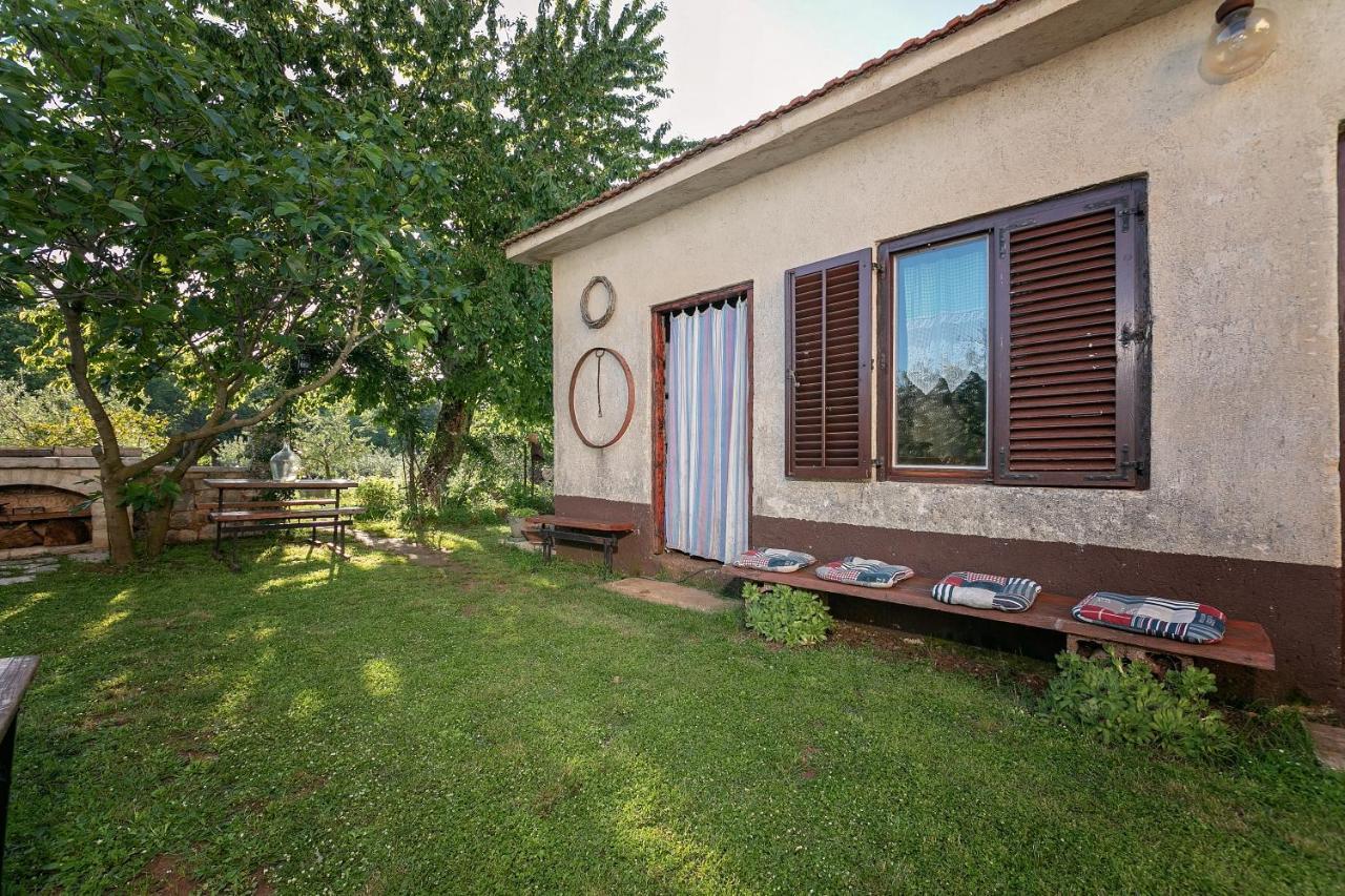 Blue Apartment Vrsar Zewnętrze zdjęcie